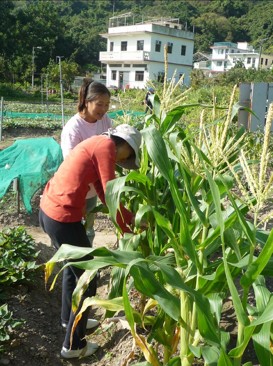 20101205 The Organic Farm12